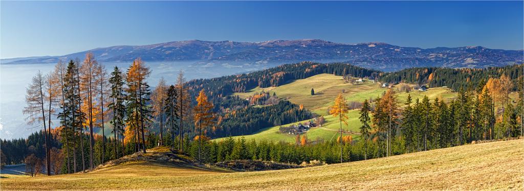 Ferienwohnungen Lichtenegger Kamp エクステリア 写真