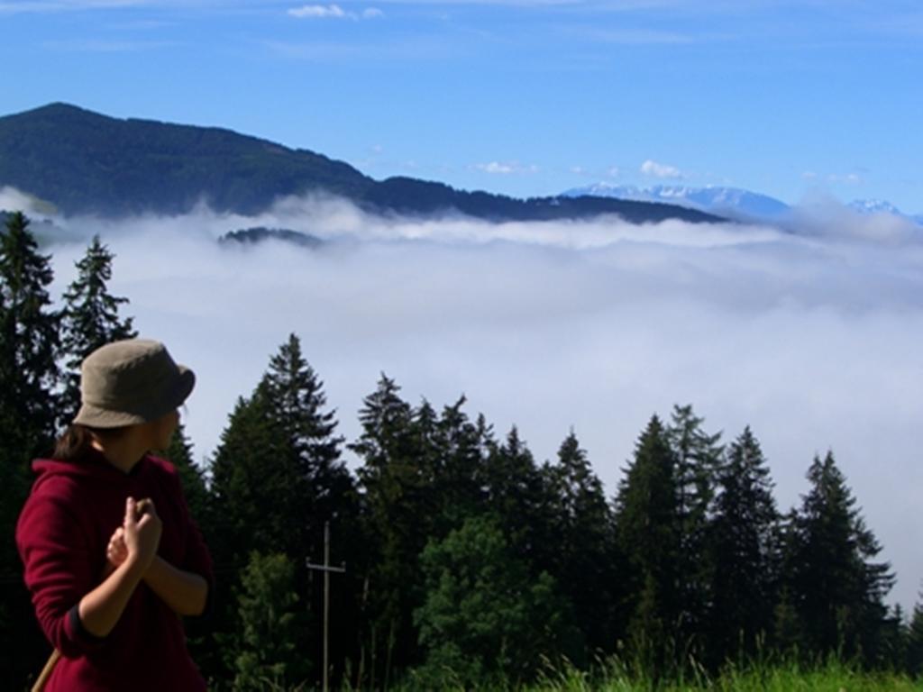 Ferienwohnungen Lichtenegger Kamp エクステリア 写真